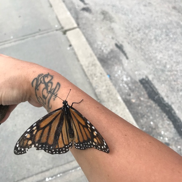 Meet your Posher, Kristine - Picture 8 of 8